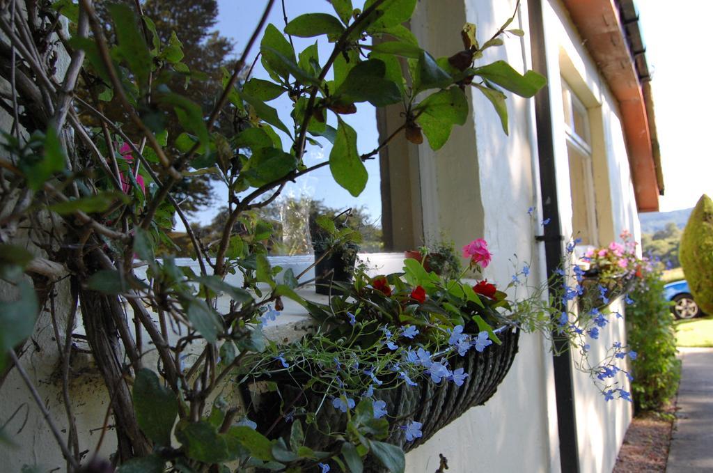 Blairglas B&B Luss Zewnętrze zdjęcie